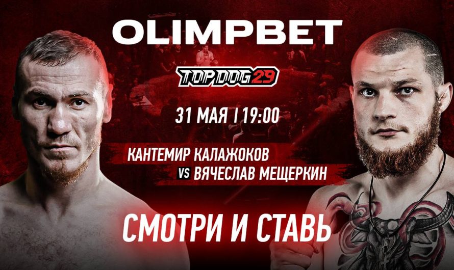 OLIMPBET разыграет призы на TOP DOG 29