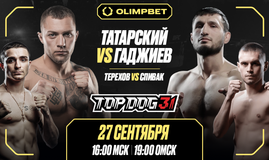 OLIMPBET представляет стадионный TOP DOG 31